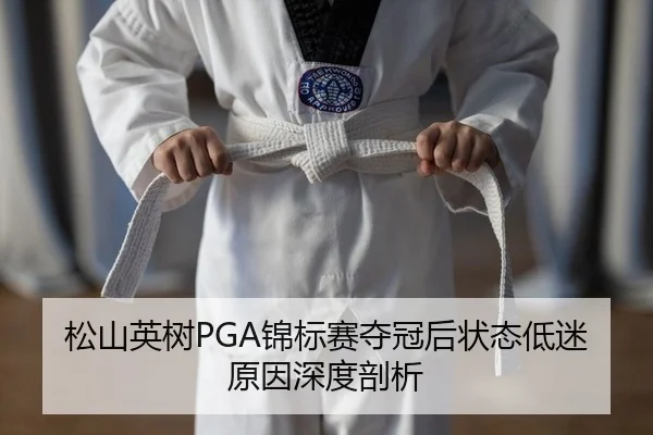 song-shan-ying-shu-jin-biao-sai-duo-guan-hou-zhuang-tai-di-mi-yuan-yin-shen-du-pou-xi-2-454.jpg